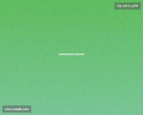 德甲赛季新篇章开幕精彩对决 争冠之路即将启航