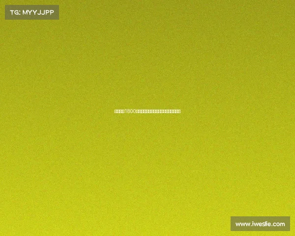 西汉姆以1800万镑签下莱斯特门将赫尔曼森协议已达成