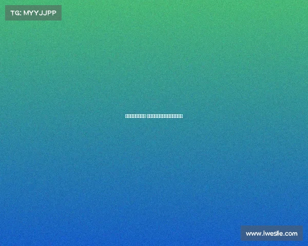 德甲球迷激情四溢 球场内外的热血氛围与文化探索