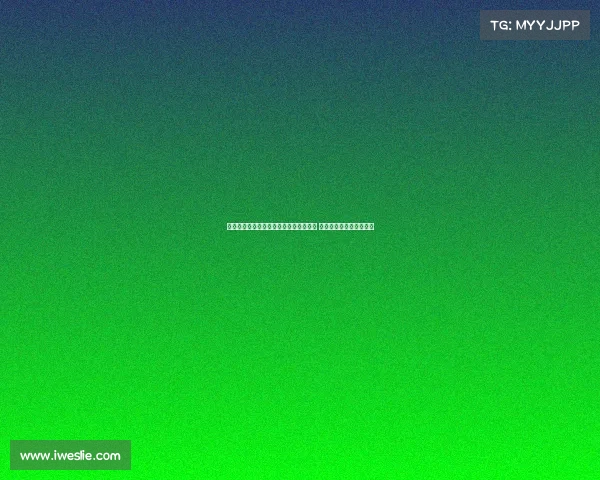 法甲官方账号发布全新赛季球员数据解析 揭示比赛背后的精彩瞬间